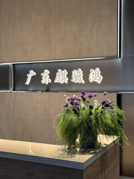 중국 FOSHAN QIJUNHONG PLASTIC PRODUCTS MANUFACTORY CO.,LTD 회사 프로필